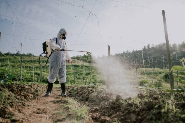 Best Pest Removal Services  in Lyons, OR