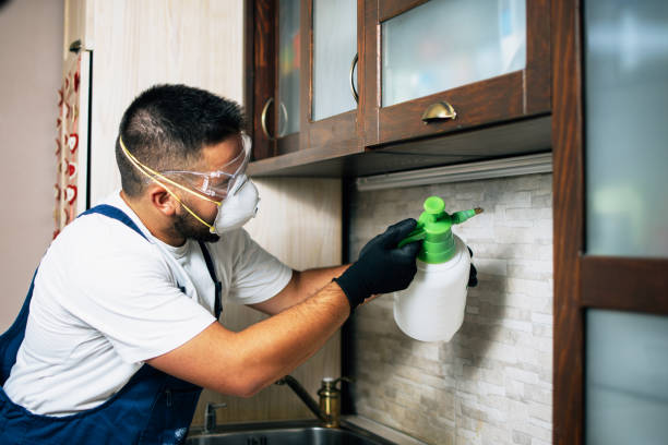 Best Pest Inspection Near Me  in Lyons, OR