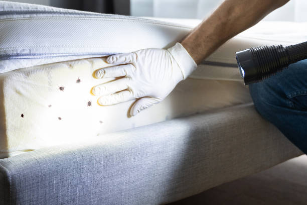 Best Best Pest Control Companies  in Lyons, OR