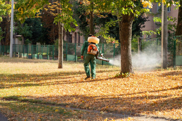 Best Wasp Removal Services  in Lyons, OR