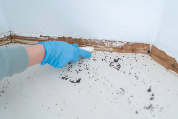 Best Bed Bug Extermination  in Lyons, OR